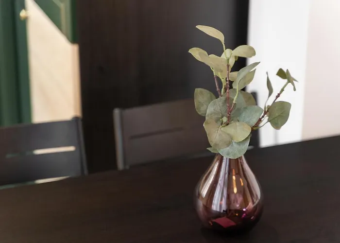 Kamienica Centrum Nr 5 シュチェチン